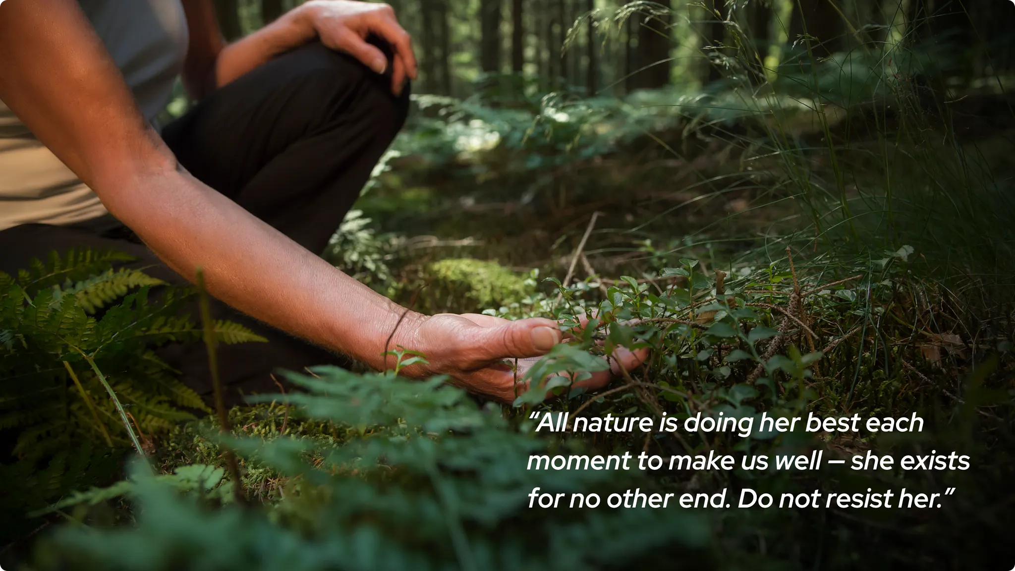 life changing plant quote