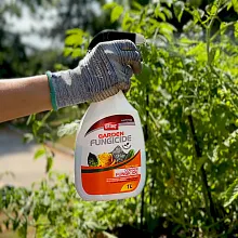 Ortho&reg; Fungicide Ready-to-use image number null