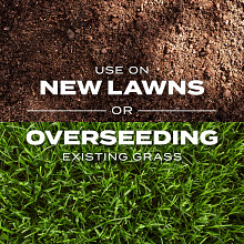 Scotts&reg; Turf Builder&reg; Rapid Grass&trade; Bermudagrass image number null