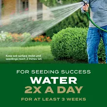 Scotts&reg; Turf Builder Rapid Grass&trade; Southern Gold&reg; Blend for Tall Fescue Lawns image number null