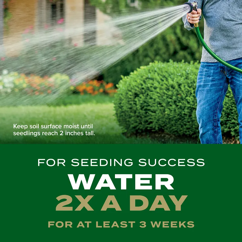 Scotts&reg; Turf Builder Rapid Grass&trade; Southern Gold&reg; Blend for Tall Fescue Lawns image number 9.0