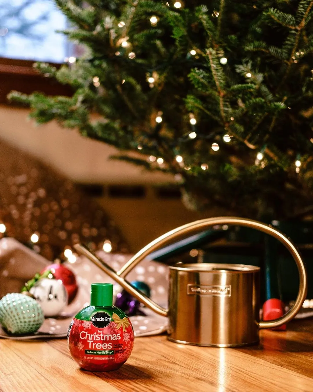 miracle gro christmas tree food