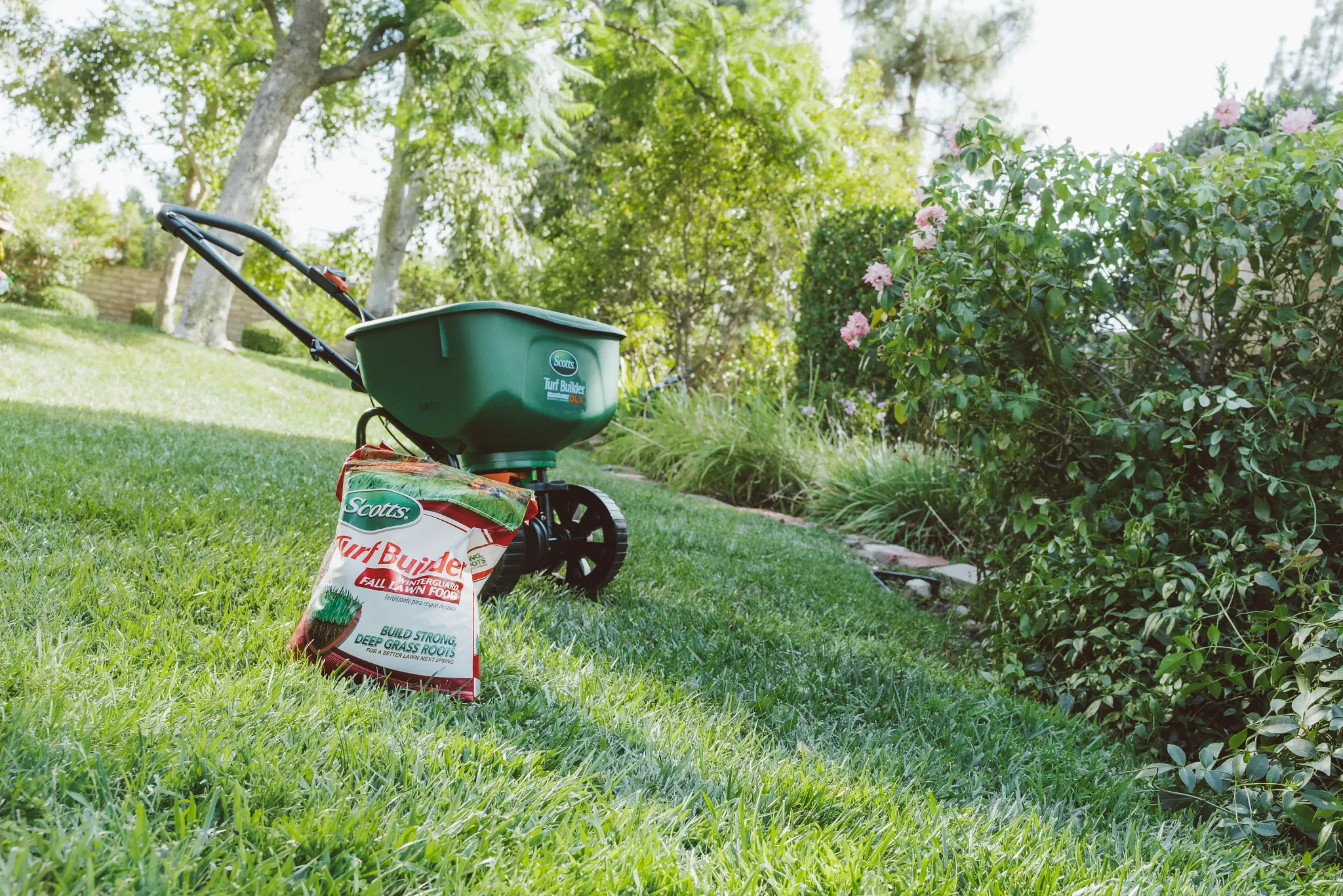 A bag of Scotts Turf Builder Fall Lawn Food sits next to a Scotts Spreader on a green lawn