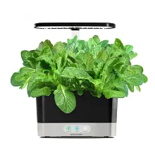 AeroGarden Mixed Romaine Seed Pod Kit image number null