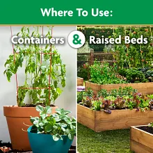 Miracle-Gro&reg; Water Soluble Tomato Plant Food image number null