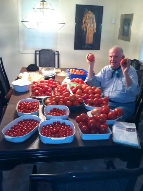 Tom Winer Tomatoes