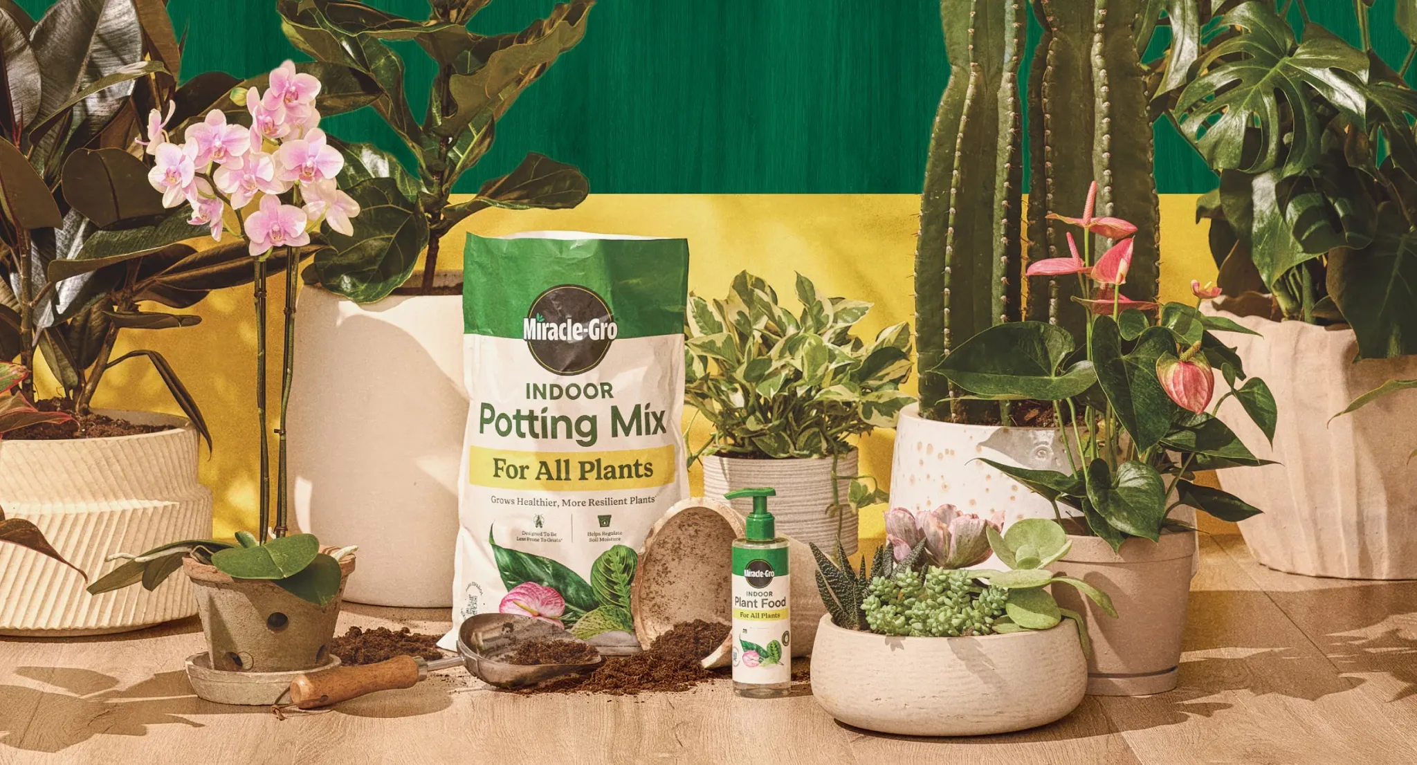 Plant Care Routine