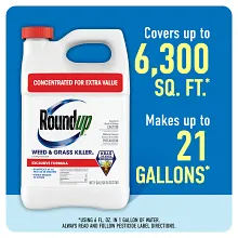 Roundup Weed & Grass Killer₄ Concentrate image number null