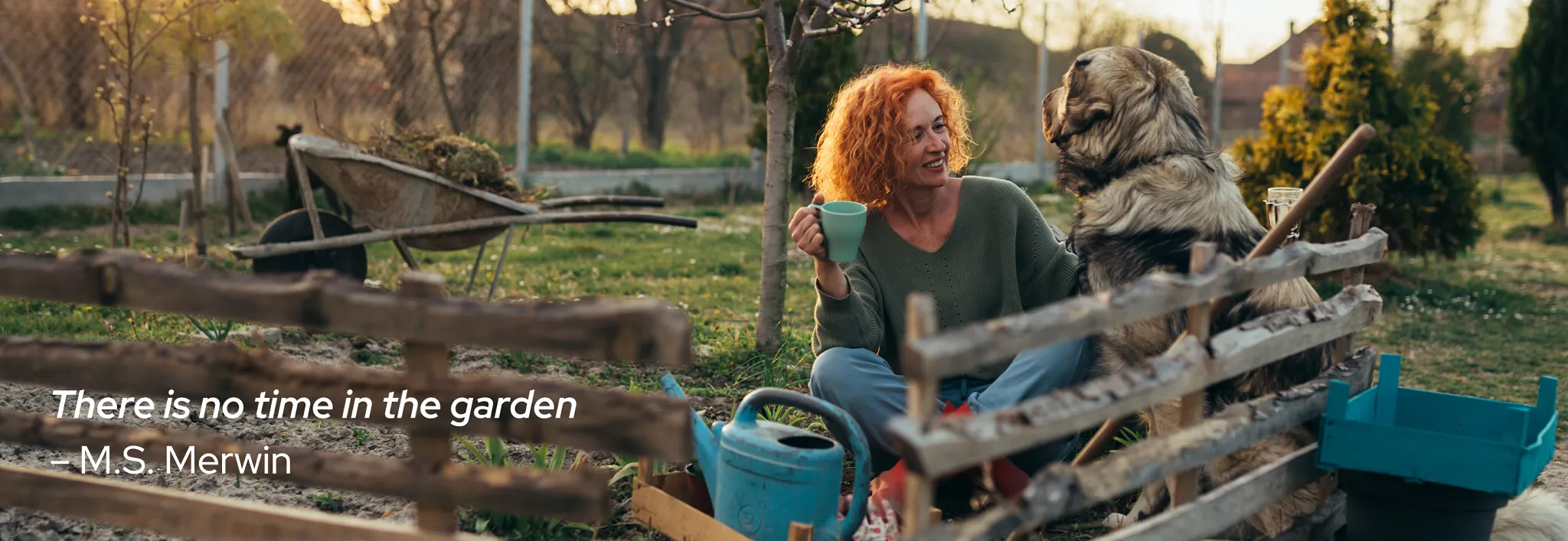 time in the garden