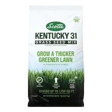 Scotts Kentucky 31 Grass Seed Mix image number null