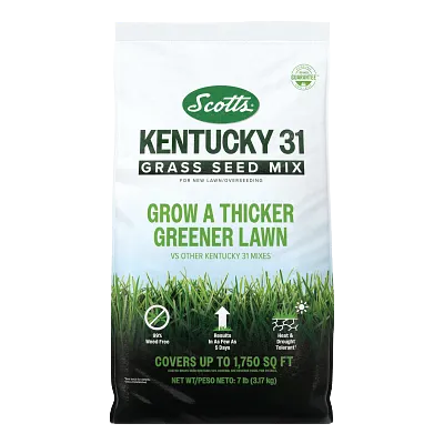 Scotts Kentucky 31 Grass Seed Mix