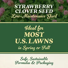O.M. Scott & Sons&trade; Strawberry Clover Seed image number null