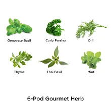AeroGarden Gourmet Herb Seed Pod Kit (6-pod) image number null