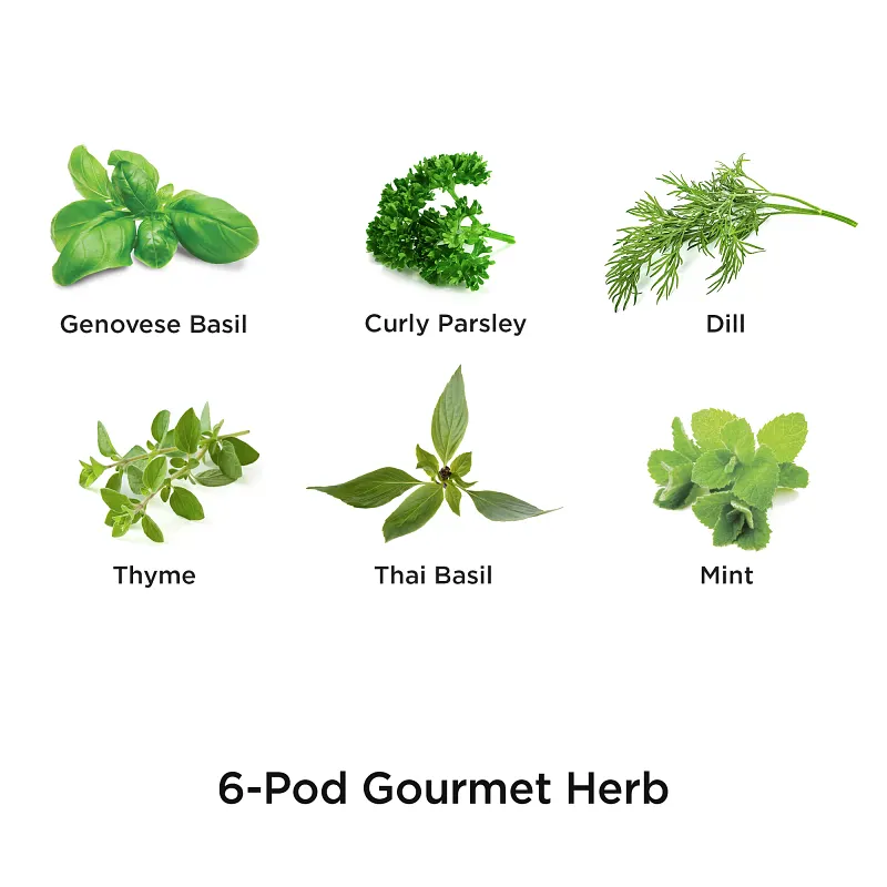 AeroGarden Gourmet Herb Seed Pod Kit (6-pod) image number 2.0