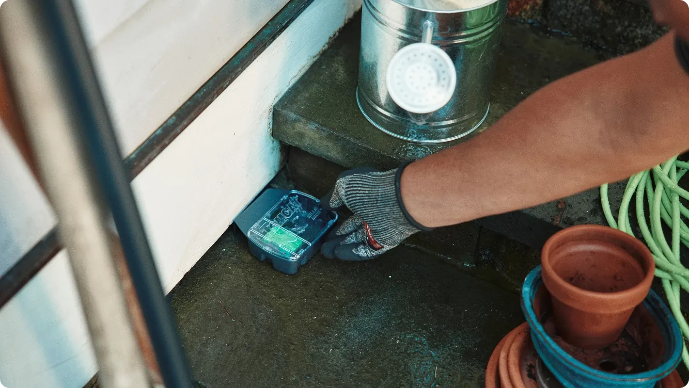 Placing a rodent bait station under a garage workbench near outdoor entryways.