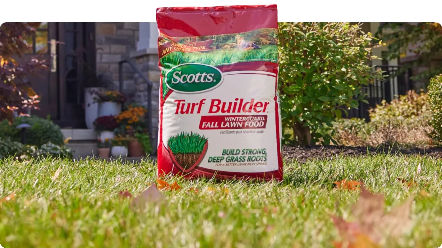 Bag of Scotts Turf Builder WinterGuard Fall Lawn Food displayed on a residential green lawn.