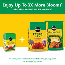 Miracle-Gro&reg; Water Soluble All Purpose Plant Food Image 11
