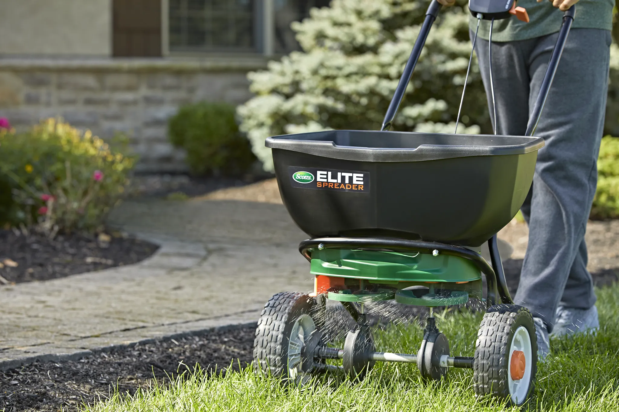 Pushing a Scotts Elite spreader in the yard