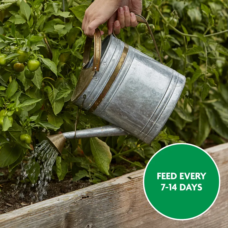 Miracle-Gro&reg; Water Soluble Tomato Plant Food image number 9.0