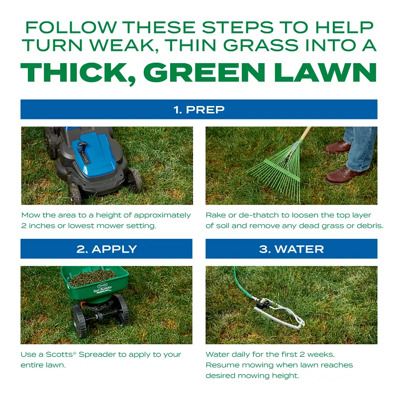 Scotts Turf Builder Thick'r Lawn Sun & Shade image number 5.0