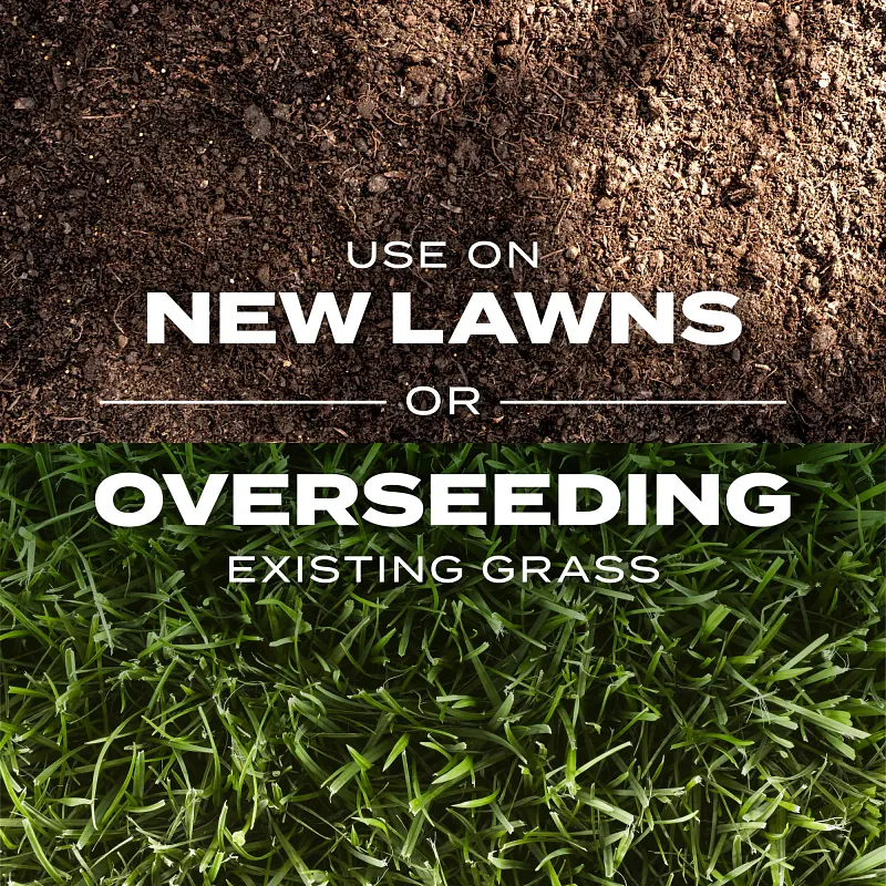 Scotts&reg; Turf Builder&reg; Rapid Grass&trade; Sun & Shade Mix image number 6.0