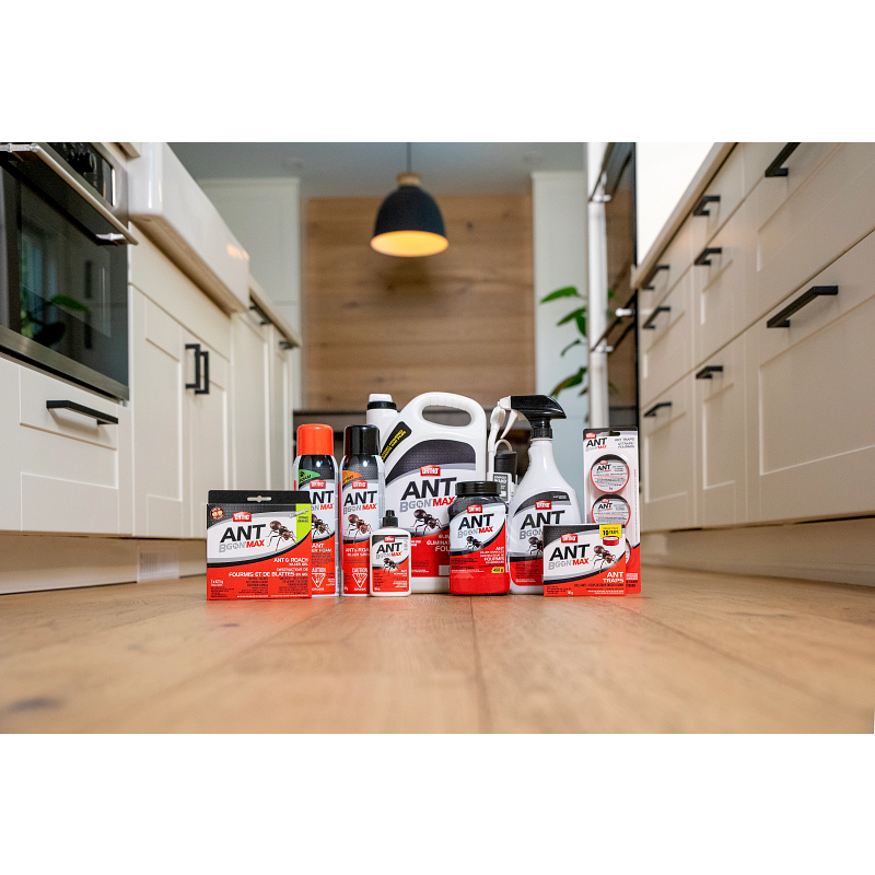 Ortho&reg; Ant B Gon&reg; MAX Ant Eliminator Ready-To-Use image number 6