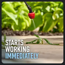 Roundup&reg; Dual Action 365 Weed & Grass Killer Plus 12 Month Preventer Concentrate image number null
