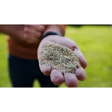 Scotts&reg; Turf Builder&reg; Quick + Thick&trade; Grass Seed Sun - Shade image number null