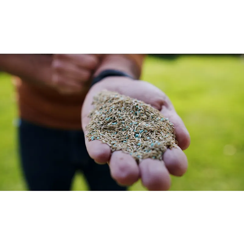 Scotts&reg; Turf Builder&reg; Quick + Thick&trade; Grass Seed Sun - Shade image number 3.0