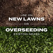 Scotts&reg; Turf Builder&reg; Rapid Grass&trade; Sun & Shade Mix image number null