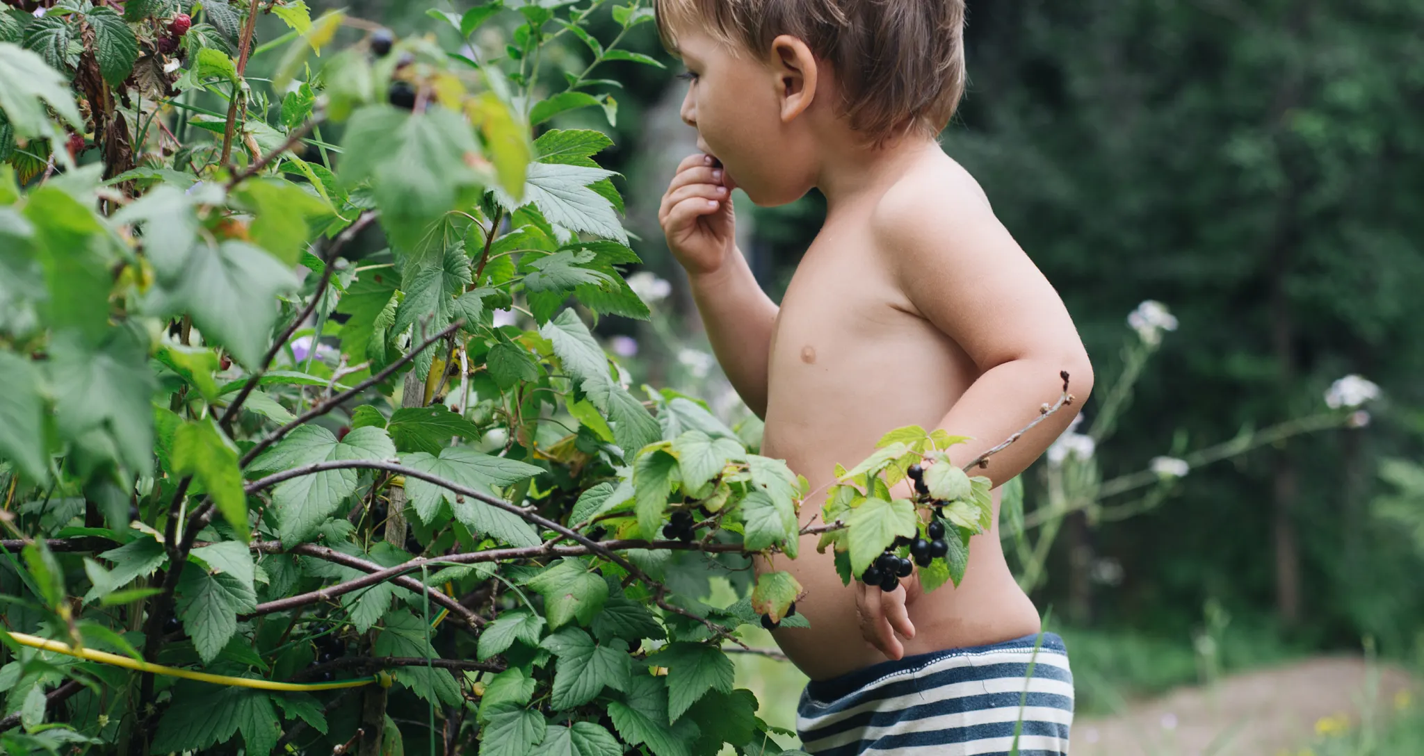 child eating leaves
