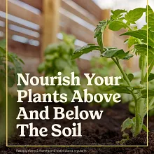 Miracle-Gro&reg; Shake 'N Feed All Purpose Plant Food image number null