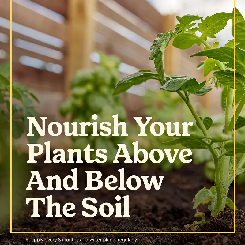 Miracle-Gro&reg; Shake 'N Feed All Purpose Plant Food image number 3.0