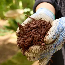 Nature Scapes&reg; Colour Enhanced Mulch - Deep Forest Brown image number null