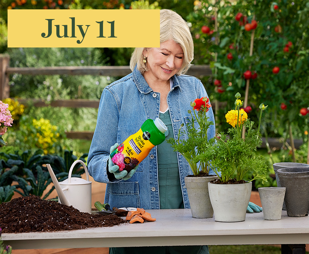 martha feeding her plants
