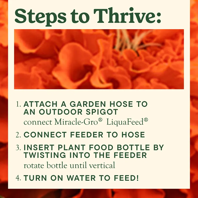 Miracle-Gro&reg; LiquaFeed All Purpose Plant Food Advance Starter&reg; Kit and Bloom Booster Flower Food Bundle image number 5.0