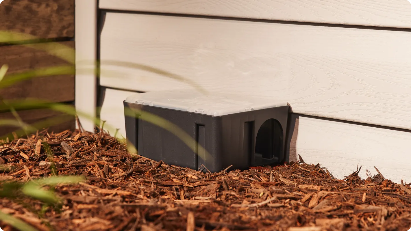 A bait station sitting up against a house 