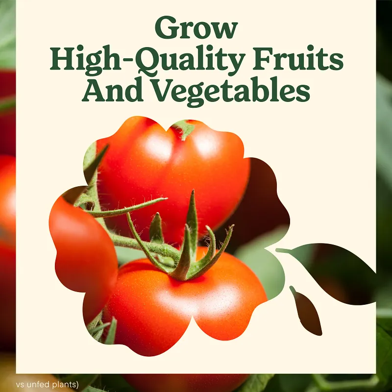 Miracle-Gro&reg; LiquaFeed Tomato, Fruits & Vegetables Plant Food image number 6.0
