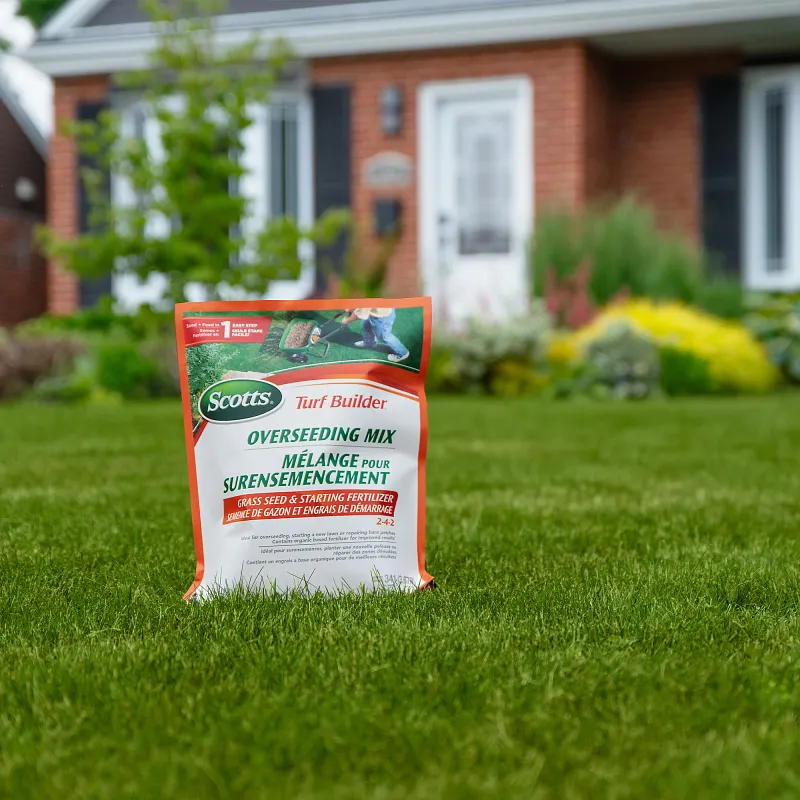 Turf Builder&reg; Overseeding Mix Seed And Starting Fertilizer image number 2.0