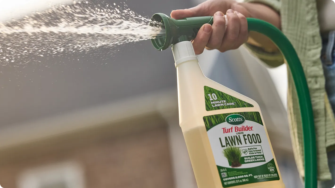 A close up of a persons hand holding their hose with a bottle of Scotts Turf Builder Liquid Lawn Food attached as he's spraying down his lawn.