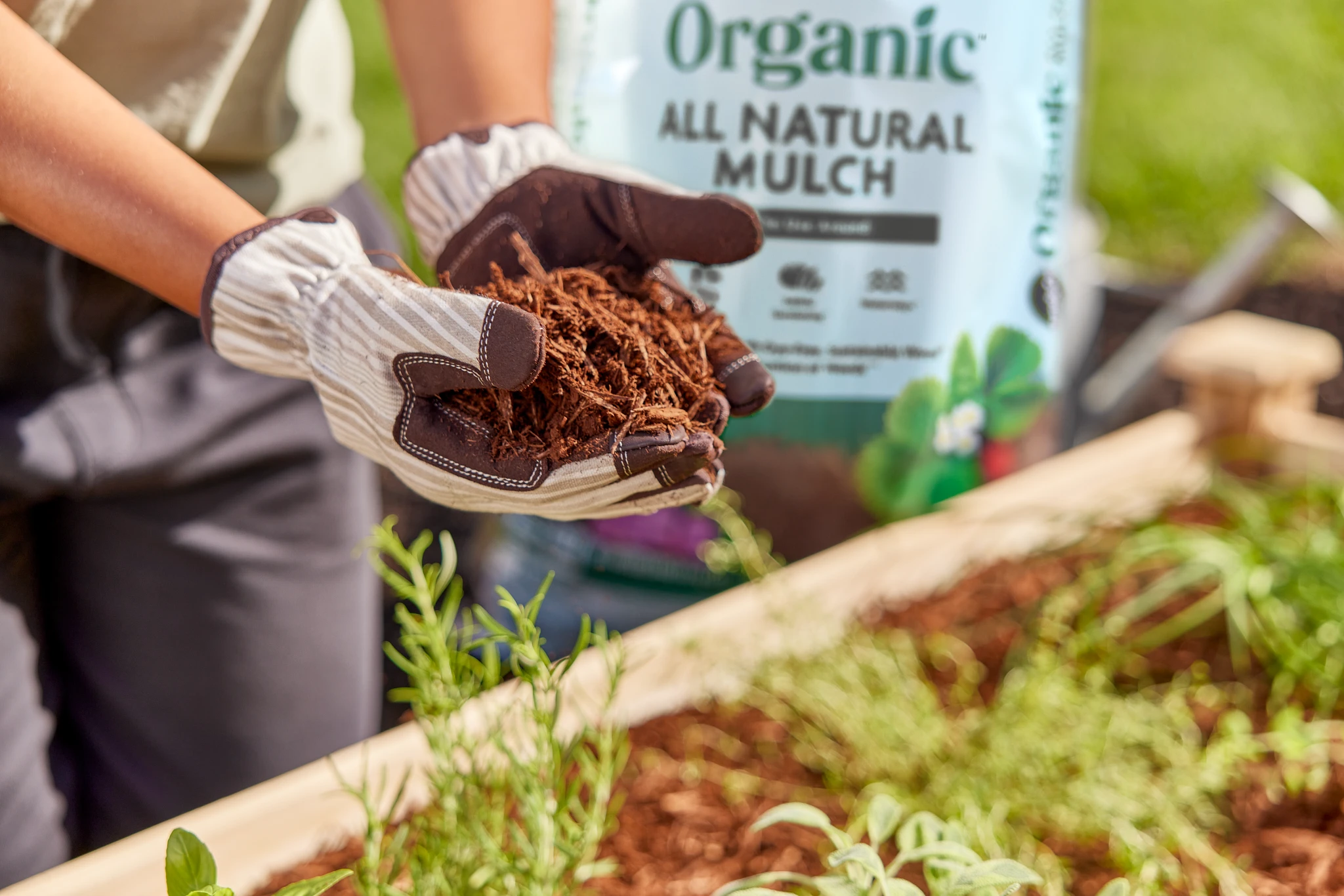 A woman holding a handful of Miracle-Gro Organic All Natural Mulch in her hands while wearing garden gloves.
