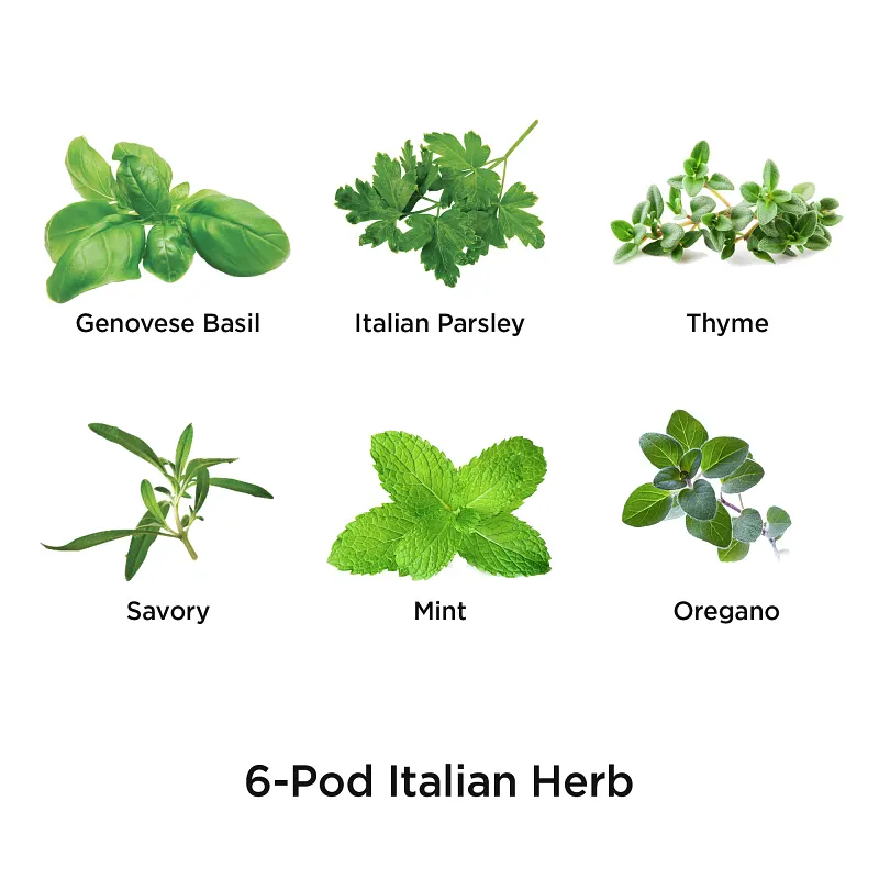 AeroGarden Italian Herbs Seed Pod Kit image number 2.0