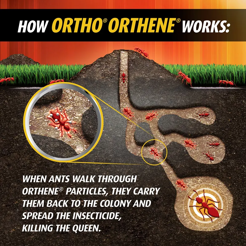 Ortho&reg; Orthene Fire Ant Killer₁ image number 7.0
