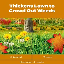 Scotts&reg; Turf Builder&reg; WinterGuard&reg; Fall Weed & Feed₅ image number null