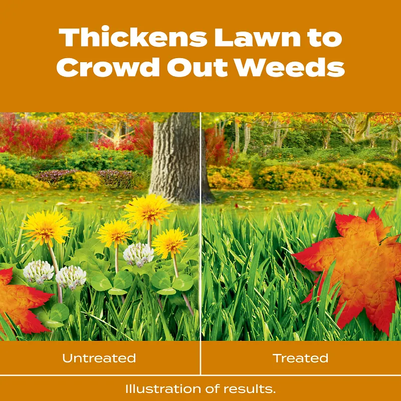 Scotts&reg; Turf Builder&reg; WinterGuard&reg; Fall Weed & Feed₅ image number 2.0