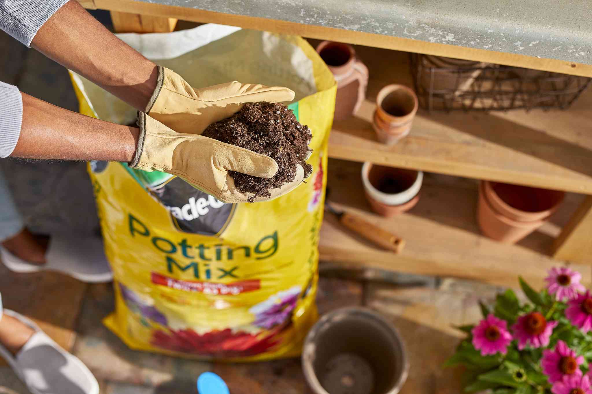 What Is the Best Soil to Use for Container Gardening?