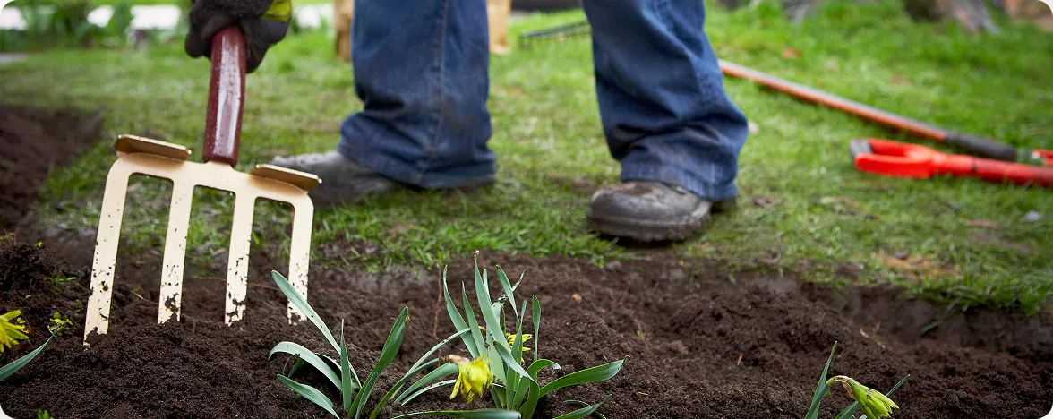 A garden fork resting in soil next to young green plants and a person standing in the background.