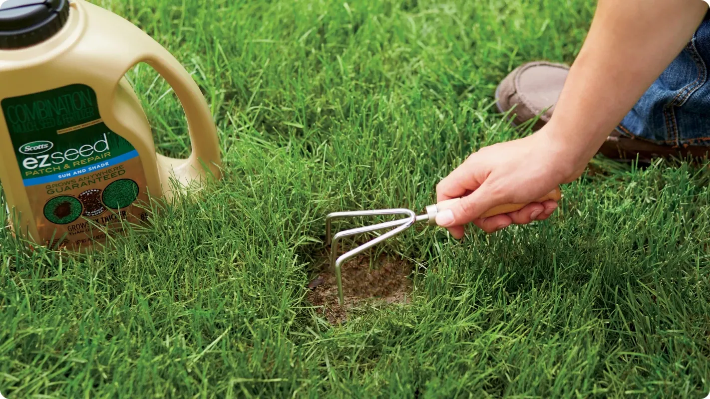Person raking soil in a bare lawn patch next to a container of Scotts EZ Seed grass seed.