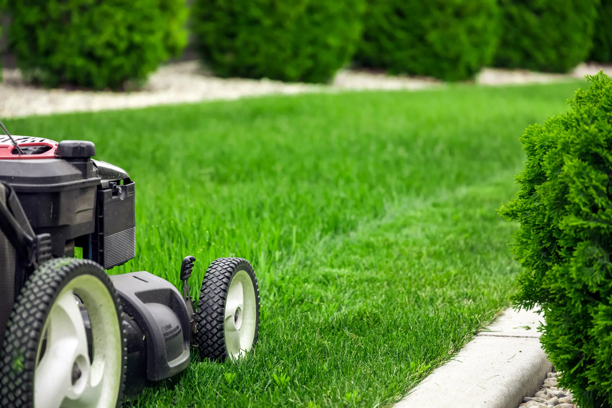 Lawn mower cutting green grass in backyard