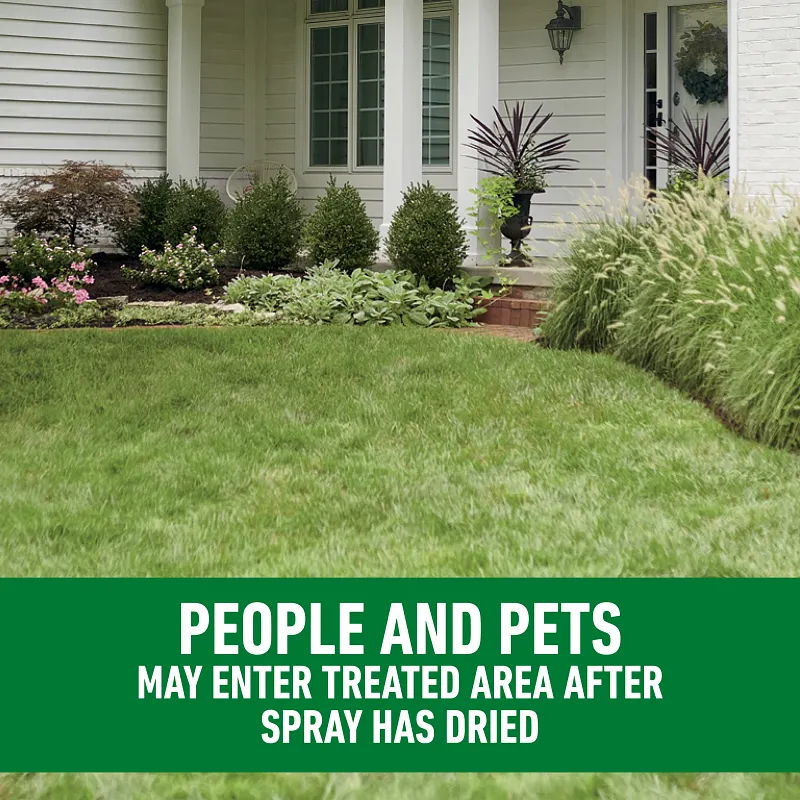 Roundup&reg; For Lawns₃ image number 9.0